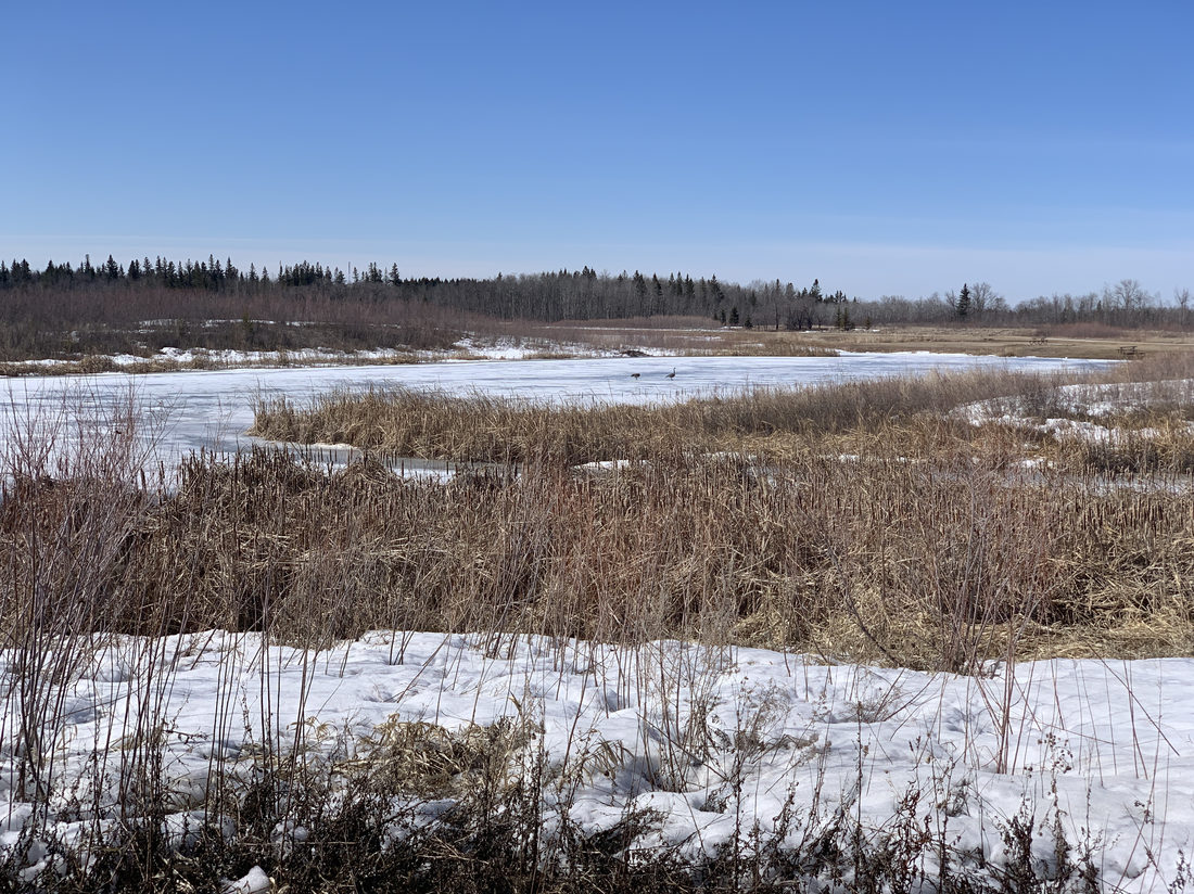 A nearby nature outing as the seasons change