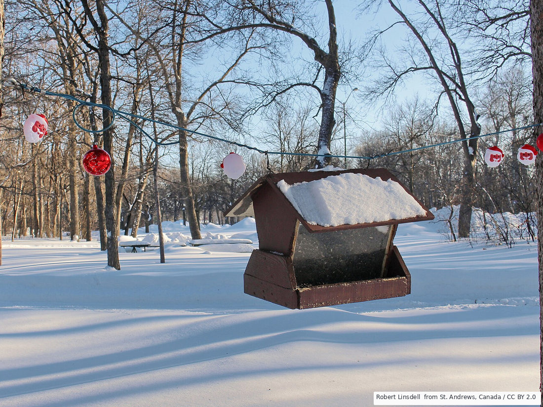 Make room for a little winter exploration